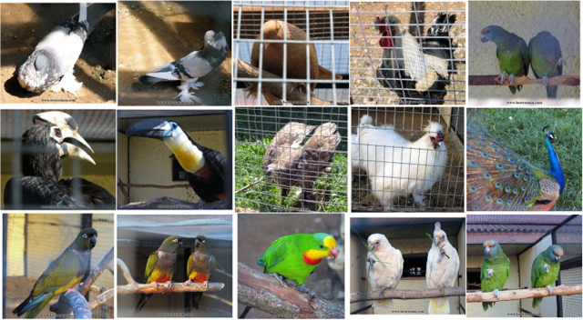 Уже совсем скоро - семейный английский лагерь на выходных!