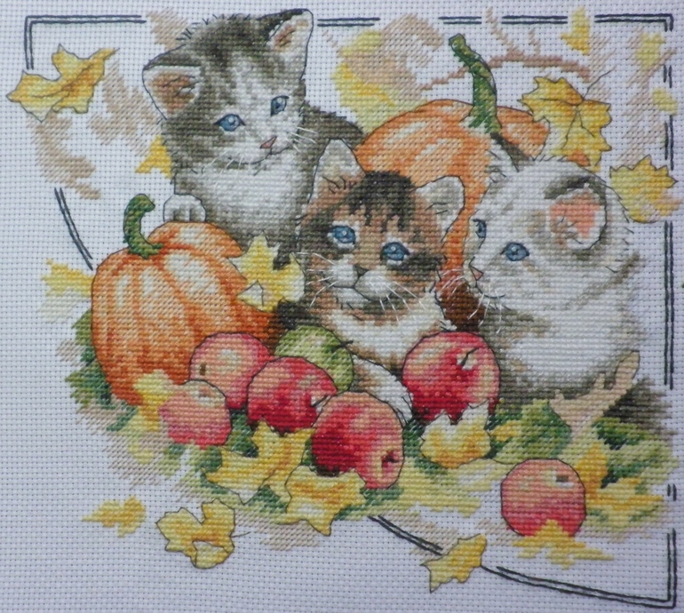 Котята. 4 сезона