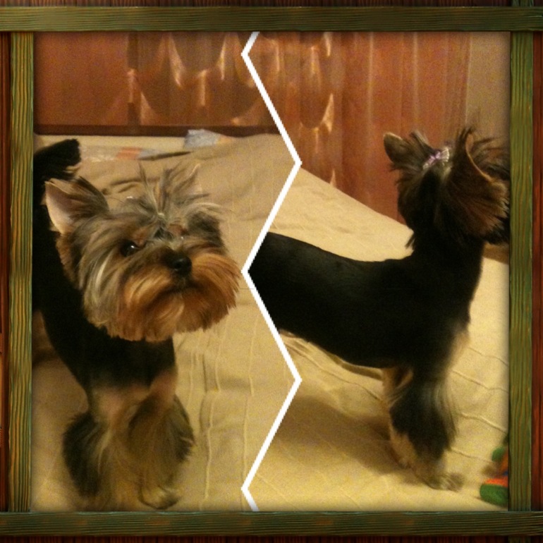 Мой шалун-красатун!