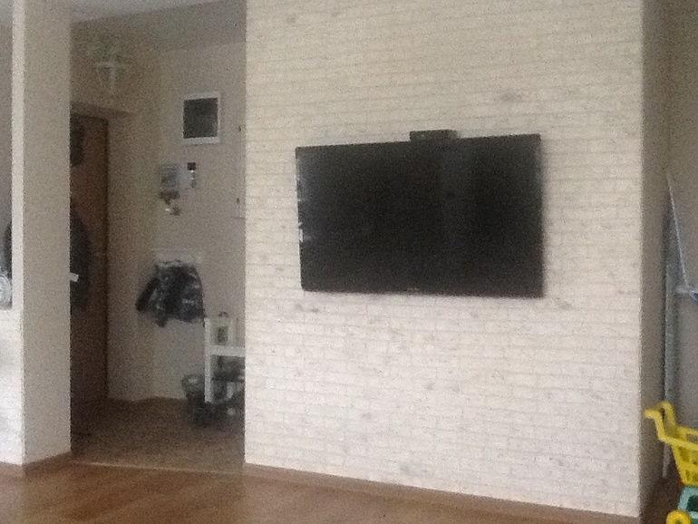 Кухня- гостиная и немного прихожей