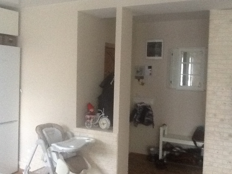 Кухня- гостиная и немного прихожей