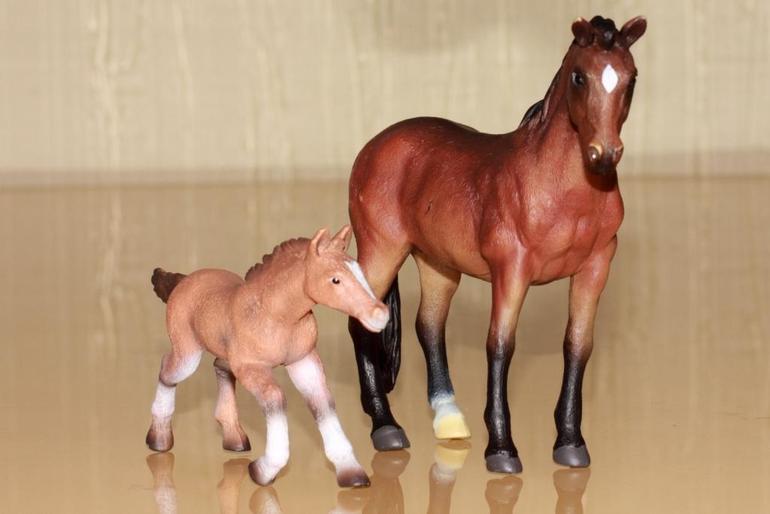 Изучаем животных.