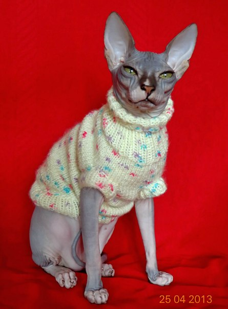 Девочки рукодельницы! Кто-нибудь вяжет на заказ ?