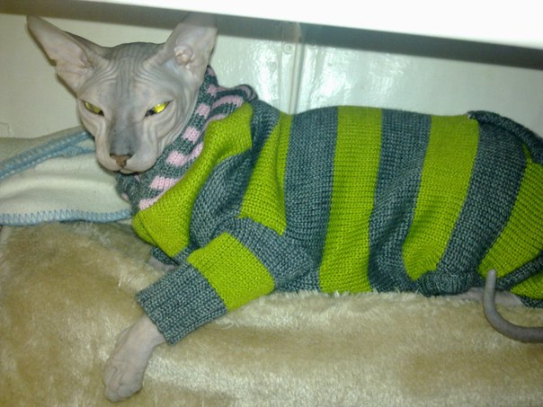 Девочки рукодельницы! Кто-нибудь вяжет на заказ ?