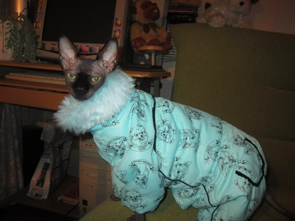 Девочки рукодельницы! Кто-нибудь вяжет на заказ ?