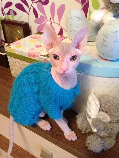 Девочки рукодельницы! Кто-нибудь вяжет на заказ ?