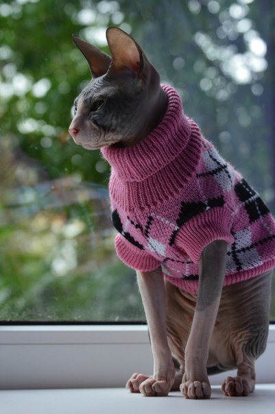 Девочки рукодельницы! Кто-нибудь вяжет на заказ ?