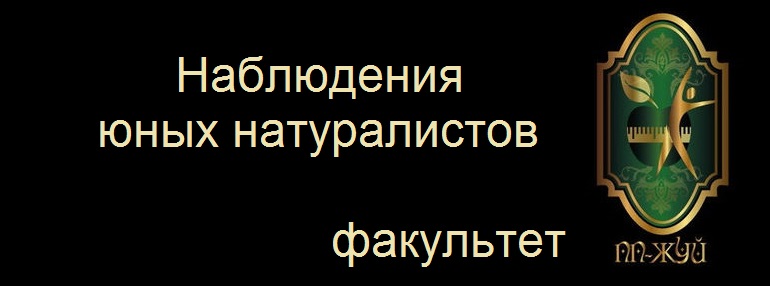 8db146f40ef7d3c935dc33fd0e1908e3.jpg