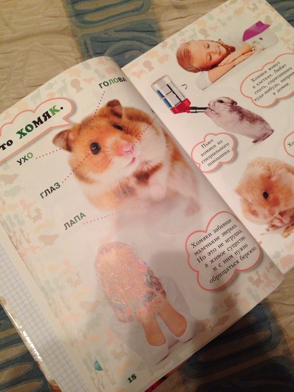 Пополнили нашу библиотеку (0-12 месяцев)