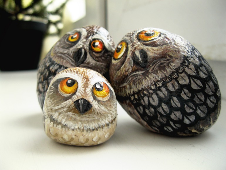 мудрые совы, хитрые кошки