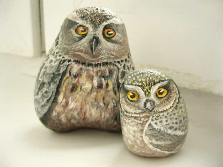 мудрые совы, хитрые кошки