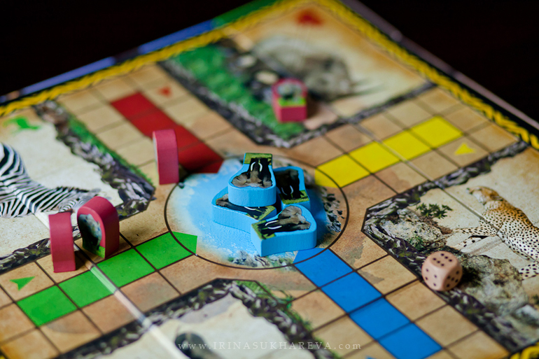 Настольные игры от Всемирного Фонда дикой природы (WWF).