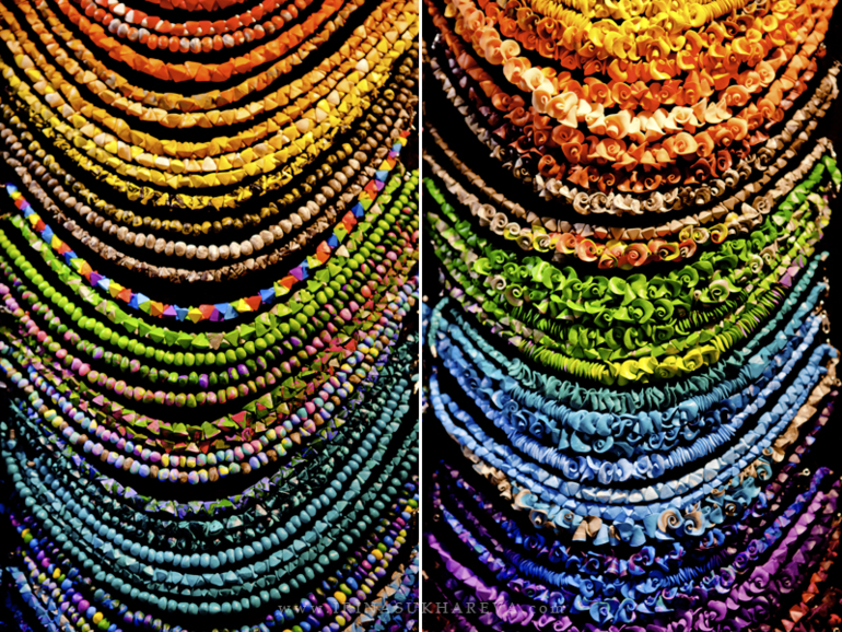 Фестиваль горлица 2013 в Дарвиновском музее.