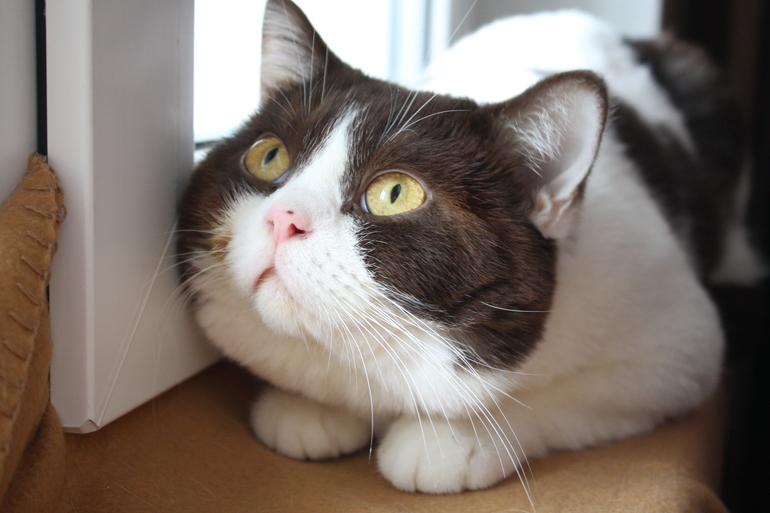 Моя Булочка :)