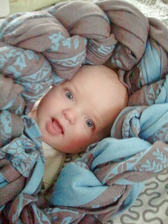 Дрессированый тригринн и его компания