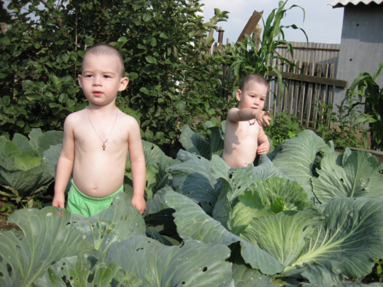 Наш летний фотоотчет!