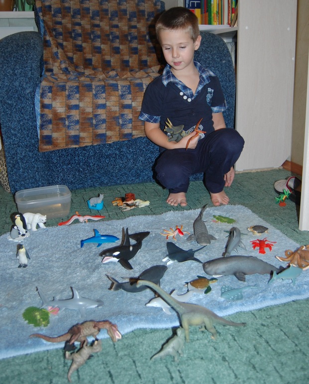 Эволюция и этапы жизни.