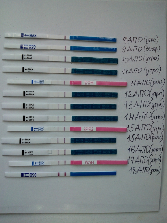 10 дней покажи. Тест после зачатия. Тесты на беременность по дням. Тесты по дням после зачатия. Тест на беременность через 8 дней.