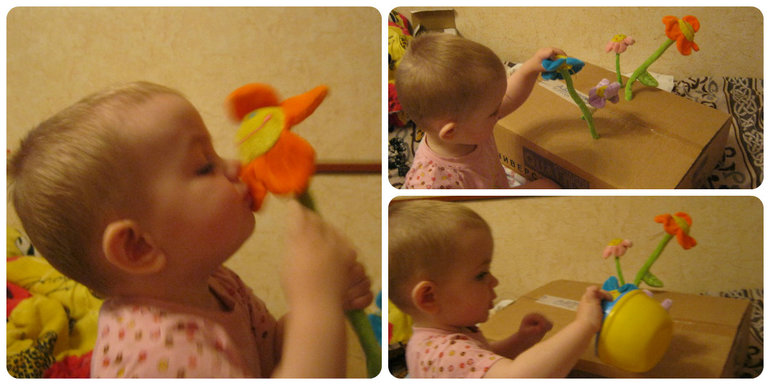 ТН Объекты природы  Д 6 Цветочек