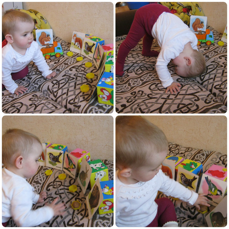 ТН Объекты природы День 2 Орех