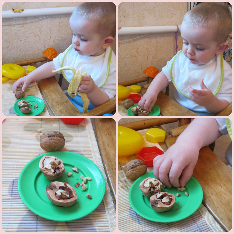 ТН Объекты природы День 2 Орех