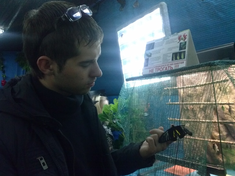 Выставка бабочек))))