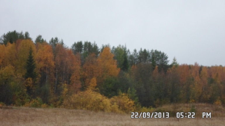 Осенняя поездка в лес