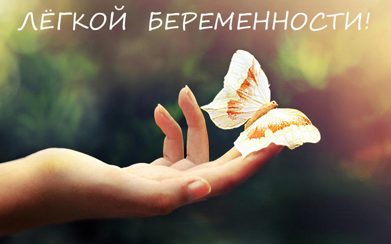 a0eedc147df4aa0c6d5e5f4eeb5525ca.jpg
