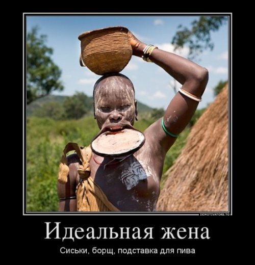 0677c37eac68e83df94addfd61adfa51.jpg