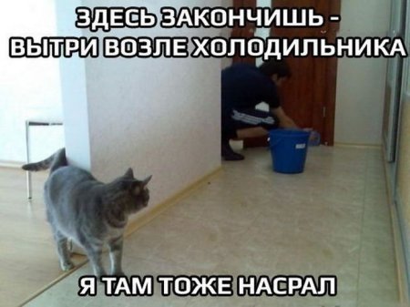 7e33d0cfb42bffdf309a877a378524e0.jpg