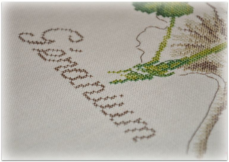 Герань, Véronique Enginger