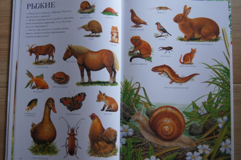 Большой атлас животных