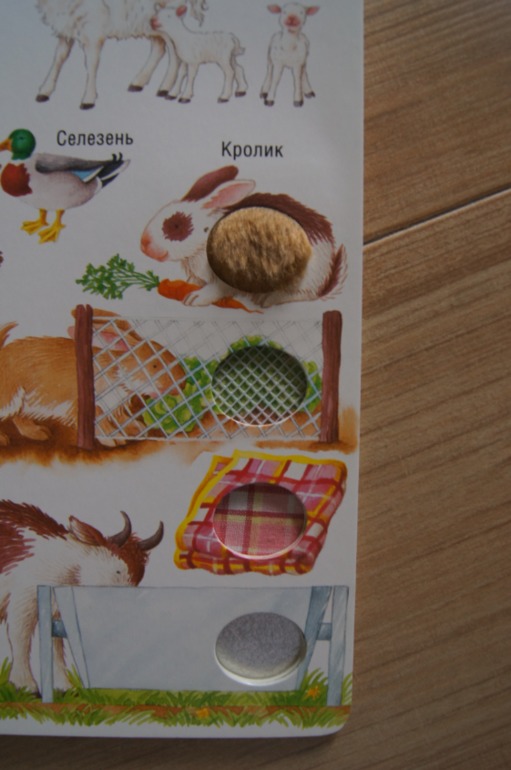 Мир вокруг На ферме