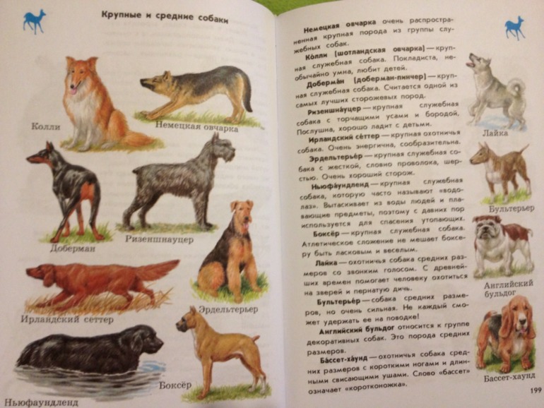 Пополнение ;)