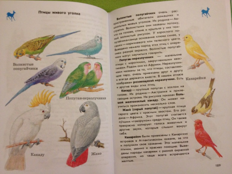 Пополнение ;)