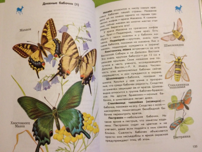 Пополнение ;)