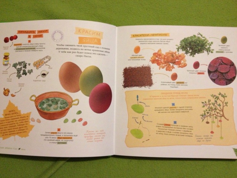 Пополнение ;)