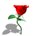 eb5712ca9da6cd14f4c2679538acb9cc.gif
