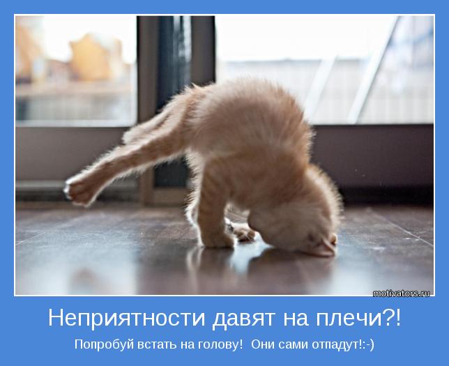 ПредНГшный Марафон - 1 день