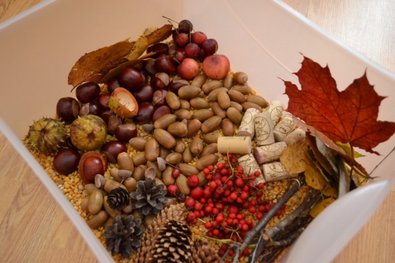 Тематические дни