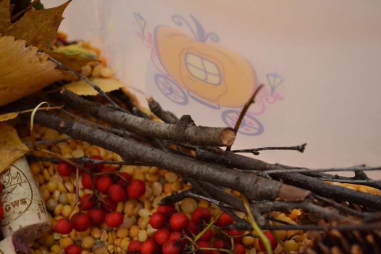 Тематические дни