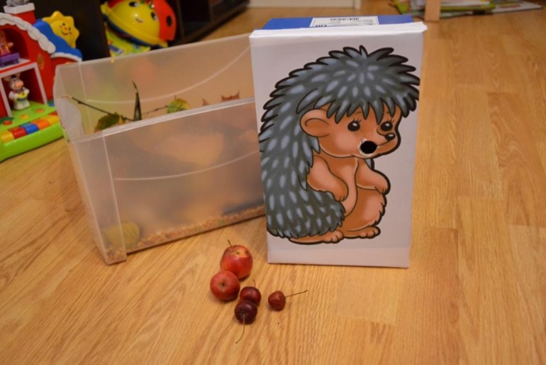 Тематические дни