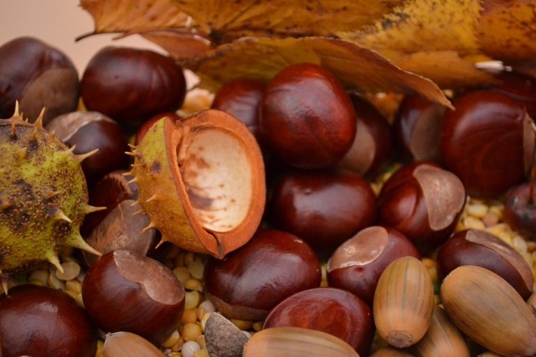 Тематические дни