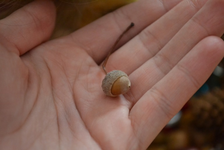 Тематические дни