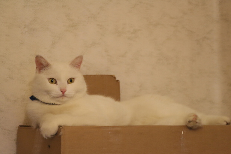 А вот мои чуды)))