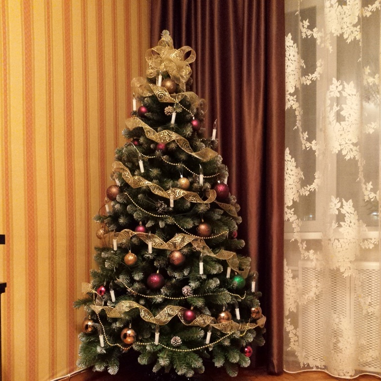 fe1ad9abef6dc0444215c9be6650c870.jpg