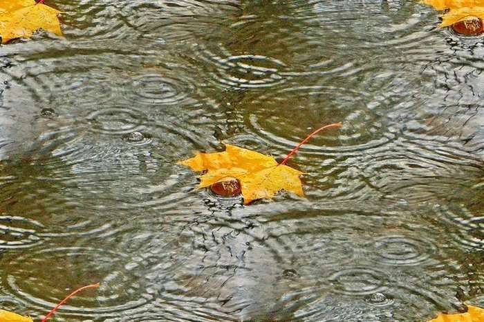 Контрольное задание № 9. Использование масок слоев