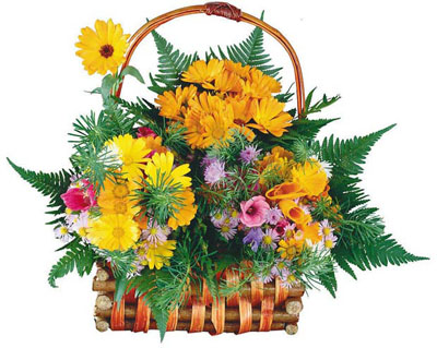 С Днем рождения, Ксюша!!!