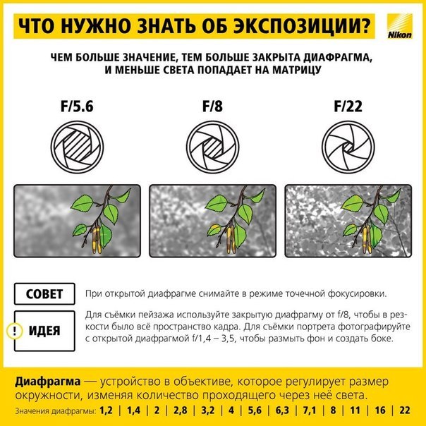 f43b1d676b28deda2533525224446956.jpg