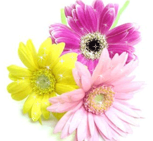 fb09890d2ed59facffad82d6f12658d3.gif
